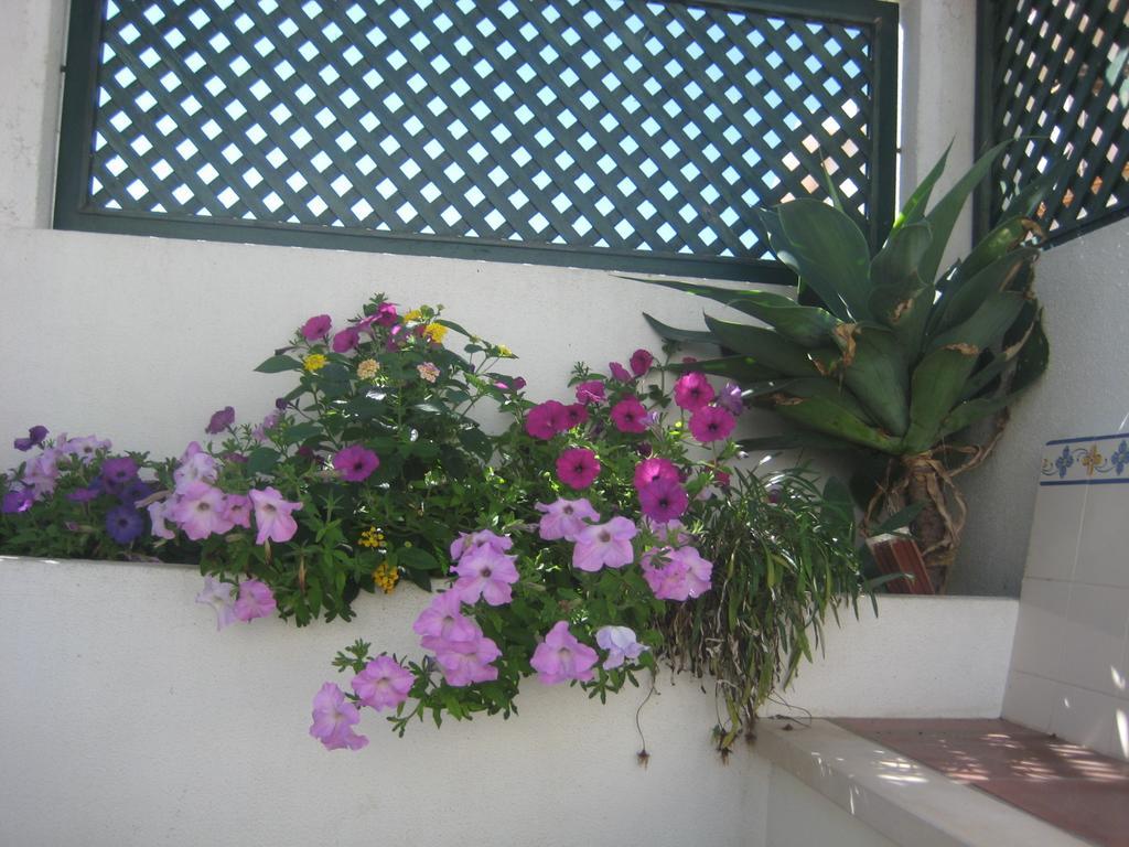 Hotel A Casinha Areia Branca Exterior foto